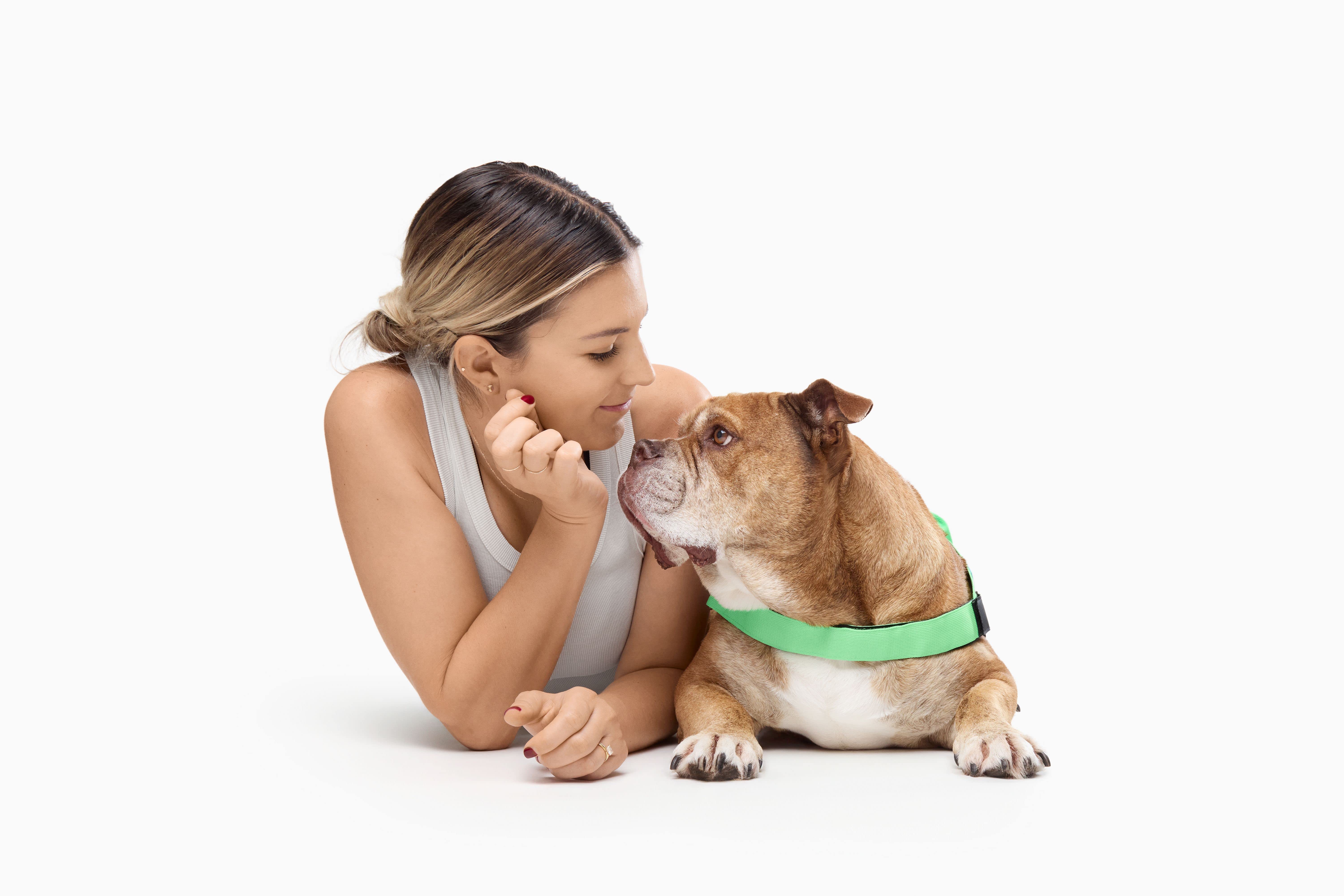 dog friendly co image